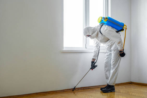 Pest Control Cost in Kenwood, OH