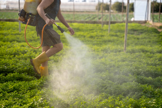 Best Best Pest Control Companies  in Kenwood, OH