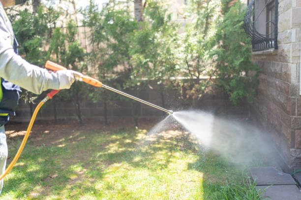 Best Insect Control  in Kenwood, OH